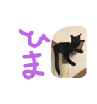 イヌネコ仲良しコンビ 第2弾（個別スタンプ：4）
