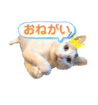 こゆき様（個別スタンプ：1）