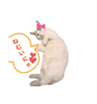 こゆき様（個別スタンプ：2）