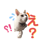 こゆき様（個別スタンプ：3）