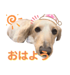 こゆき様（個別スタンプ：5）