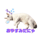 こゆき様（個別スタンプ：6）