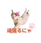 こゆき様（個別スタンプ：10）