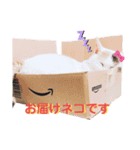 こゆき様（個別スタンプ：13）