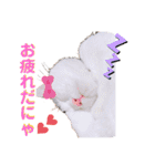 こゆき様（個別スタンプ：15）
