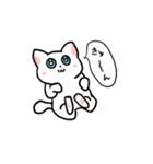 しんどい白猫（個別スタンプ：12）