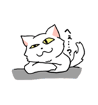 しんどい白猫（個別スタンプ：30）