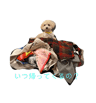 メイの日常！！（個別スタンプ：1）