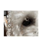 メイの日常！！（個別スタンプ：6）