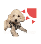 メイの日常！！（個別スタンプ：10）
