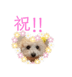 メイの日常！！（個別スタンプ：14）