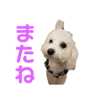 メイの日常！！（個別スタンプ：18）