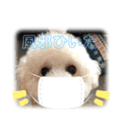 メイの日常！！（個別スタンプ：20）