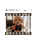 メイの日常！！（個別スタンプ：28）