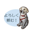 愛犬ミルキーちゃん 2（個別スタンプ：6）