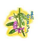 お花で元気を（個別スタンプ：16）