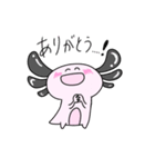 可愛いウーパーのクロンちゃん（個別スタンプ：17）