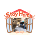 うちの猫ちゃんです（個別スタンプ：7）