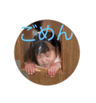 baby me636363（個別スタンプ：4）