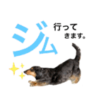 かじやま家の愉快な仲間たち(新)（個別スタンプ：13）