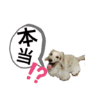 かじやま家の愉快な仲間たち(新)（個別スタンプ：30）