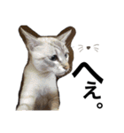 かじやま家の愉快な仲間たち(新)（個別スタンプ：31）