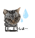 今日のいちくん（個別スタンプ：6）