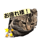 今日のいちくん（個別スタンプ：7）