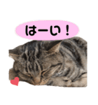 今日のいちくん（個別スタンプ：16）