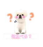 ミル姉さん（個別スタンプ：4）