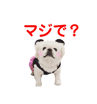 ミル姉さん（個別スタンプ：14）