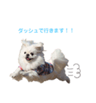 ミル姉さん（個別スタンプ：15）