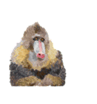 すごくたのしい動物たち（個別スタンプ：37）