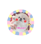 ぽんす達。（個別スタンプ：2）