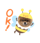 ぽんす達。（個別スタンプ：3）