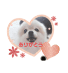 ぽんす達。（個別スタンプ：8）