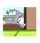 ゆるねこ 大人のシュールスタンプ（個別スタンプ：13）