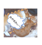 ～サスケとサクラ 1～（個別スタンプ：2）