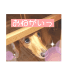 ～サスケとサクラ 1～（個別スタンプ：3）