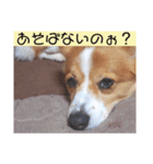 ～サスケとサクラ 1～（個別スタンプ：4）