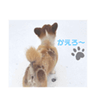 ～サスケとサクラ 1～（個別スタンプ：6）