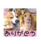 ～サスケとサクラ 1～（個別スタンプ：8）
