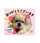 どろんこどろん（個別スタンプ：4）