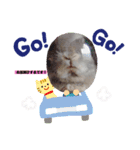 ココアンドモカ（個別スタンプ：2）