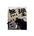 鬱犬スタンプ（個別スタンプ：2）