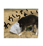 鬱犬スタンプ（個別スタンプ：8）
