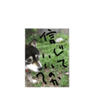 鬱犬スタンプ（個別スタンプ：10）