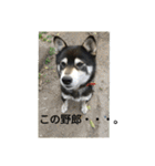 鬱犬スタンプ（個別スタンプ：22）