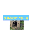 鬱犬スタンプ（個別スタンプ：27）