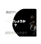 鬱犬スタンプ（個別スタンプ：28）
